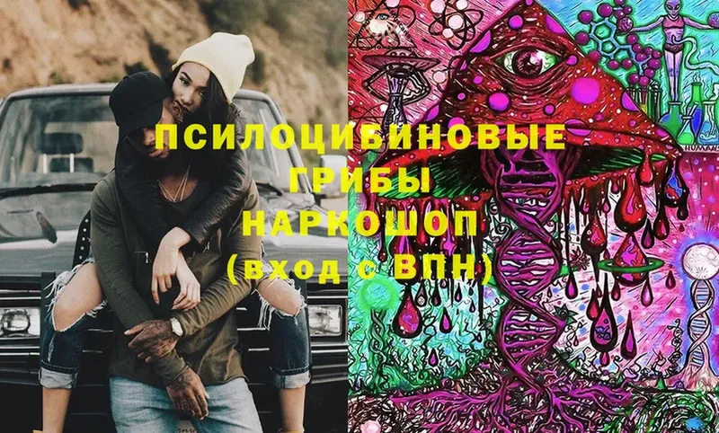 Псилоцибиновые грибы Magic Shrooms  kraken вход  Заозёрск  купить  цена 