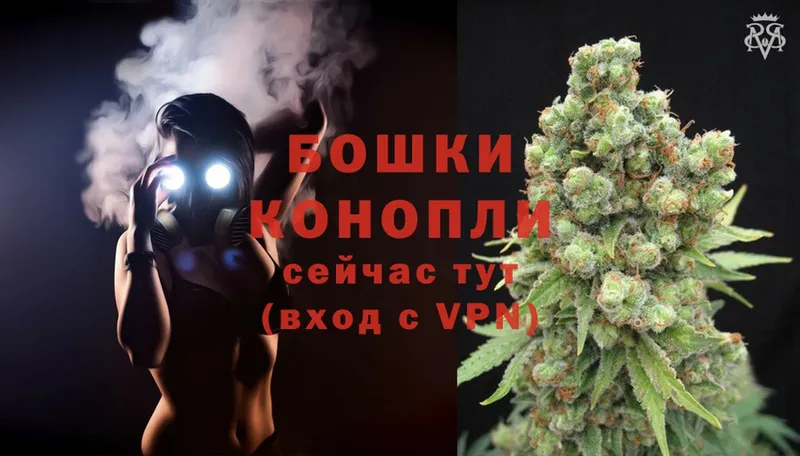 Конопля White Widow  закладки  Заозёрск 